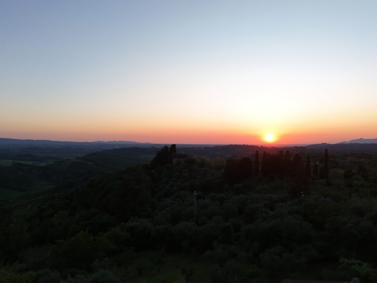 Uliveto secolare